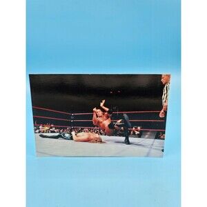 1999 WWF WrestleMania Live 4x6 photo card